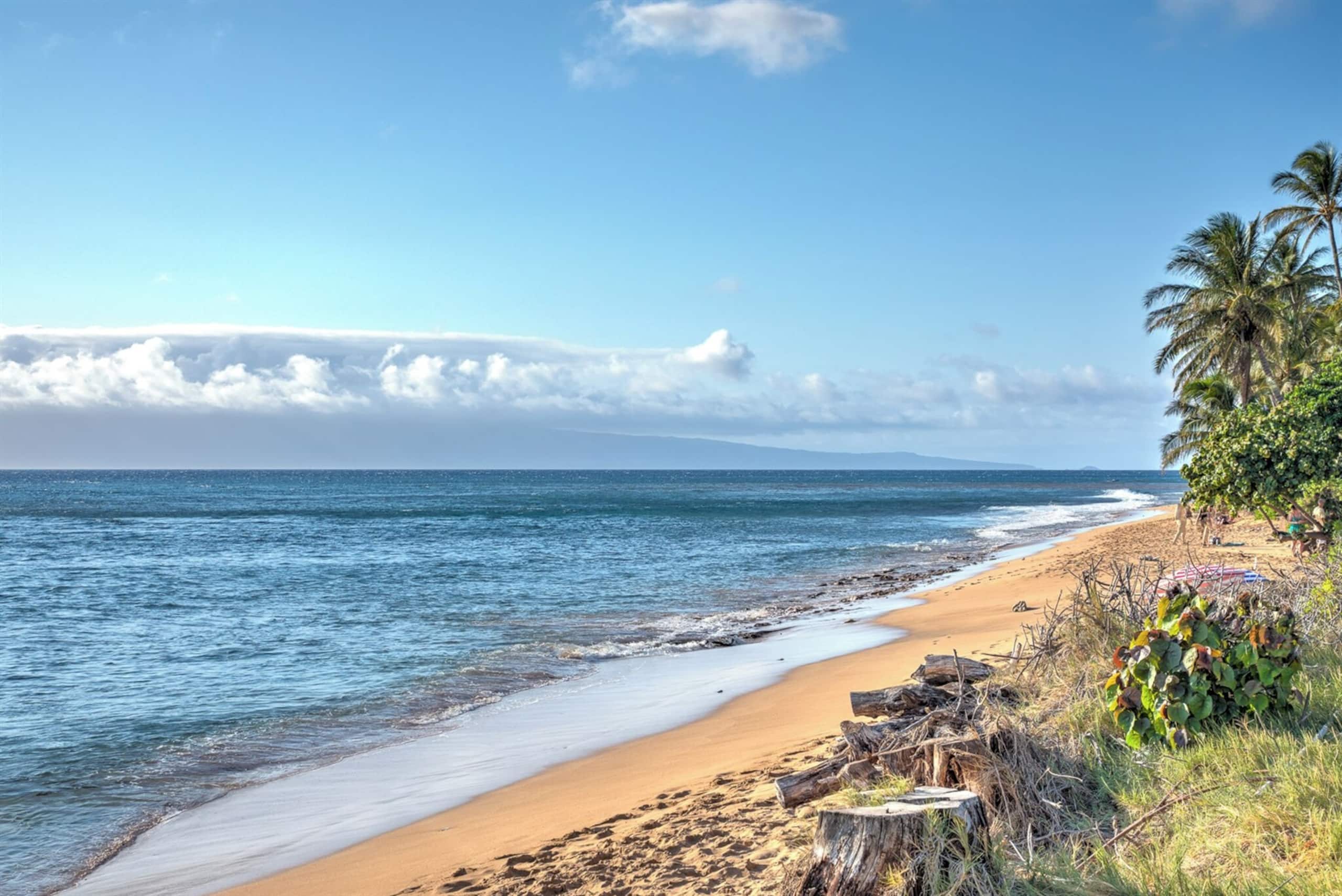 Condo in Lahaina · ★4.96 · 2 bedrooms · 3 beds · 1 bath - Image 2