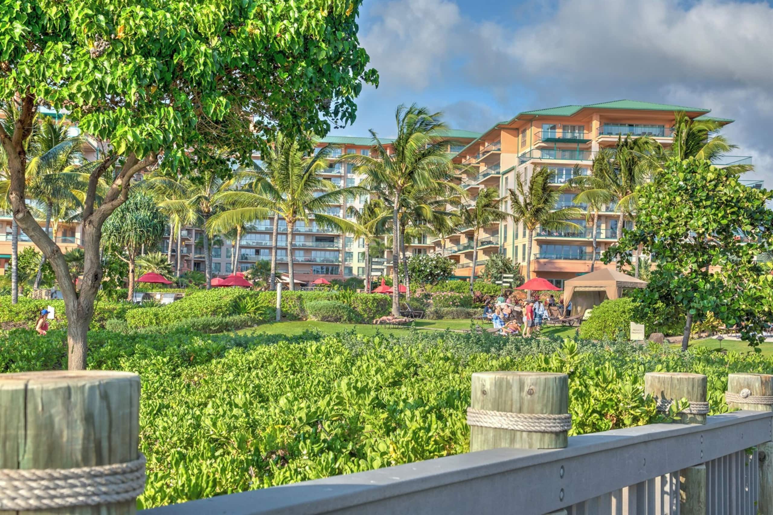 Condo in Lahaina · ★4.96 · 2 bedrooms · 3 beds · 1 bath - Image 37