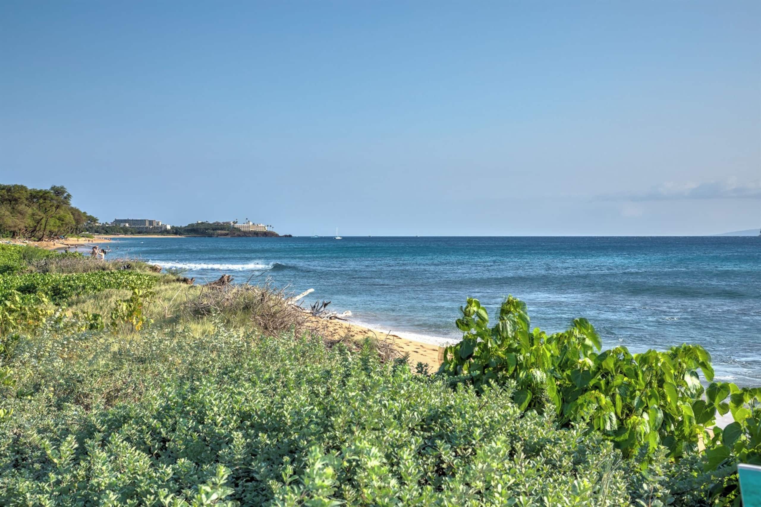 Condo in Lahaina · ★4.96 · 2 bedrooms · 3 beds · 1 bath - Image 35