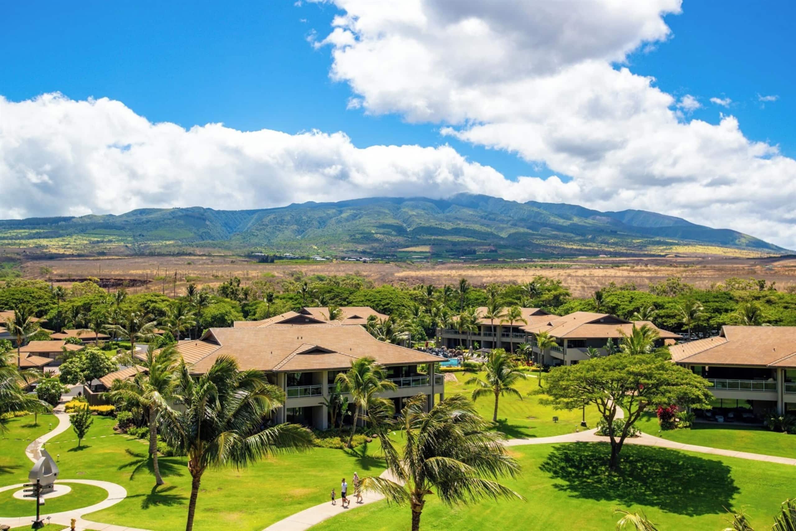 Condo in Lahaina · ★4.96 · 2 bedrooms · 3 beds · 1 bath - Image 25