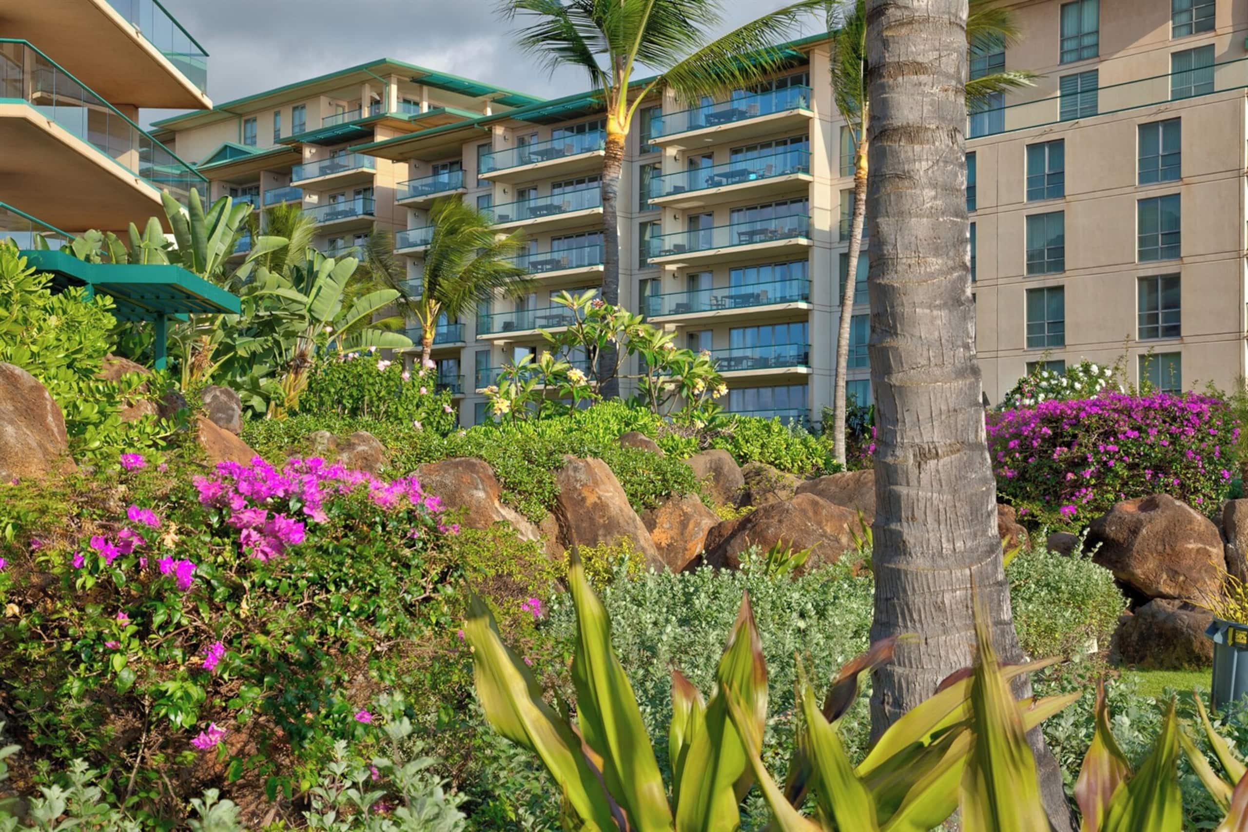 Condo in Lahaina · ★4.96 · 2 bedrooms · 3 beds · 1 bath - Image 32