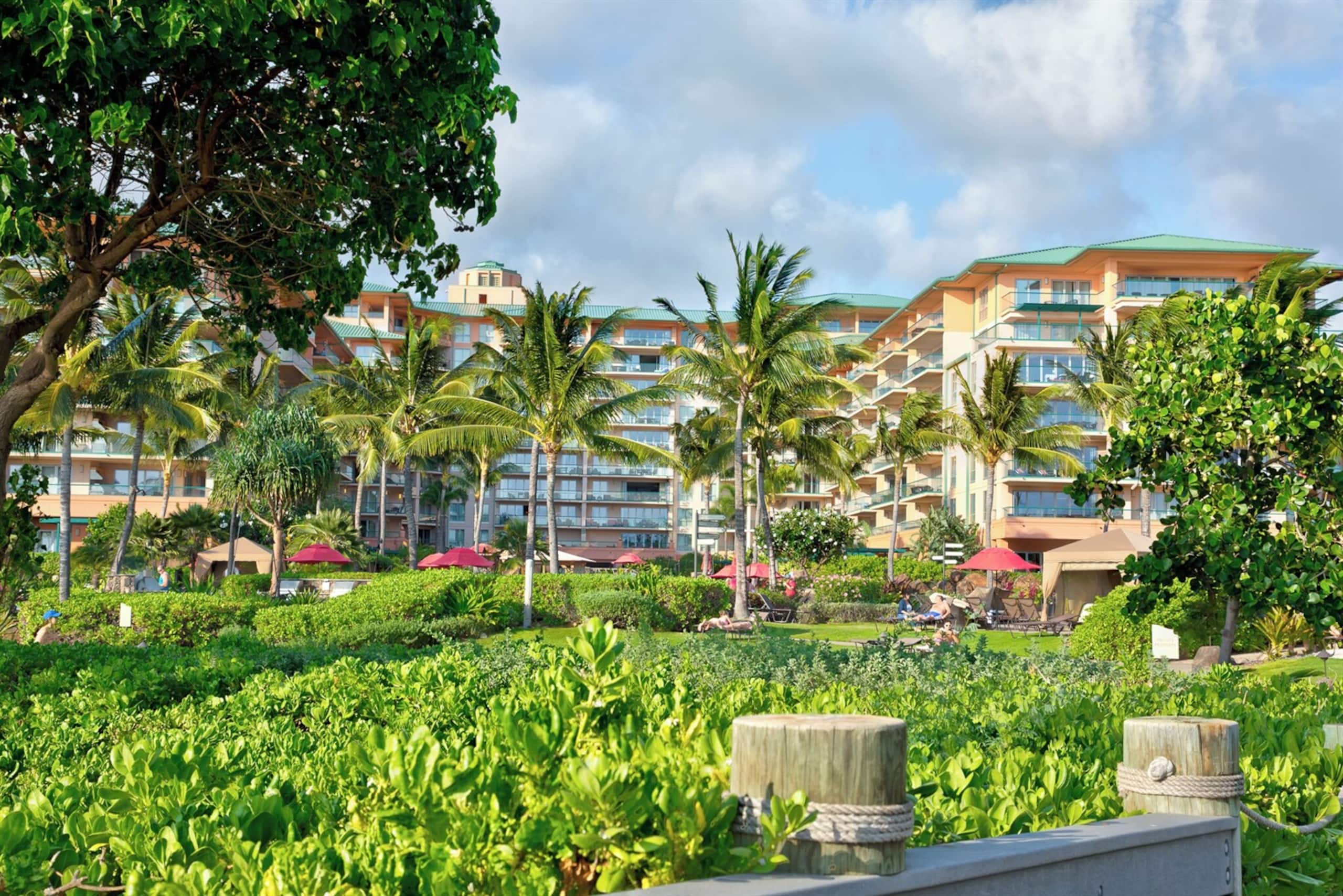 Condo in Lahaina · ★4.96 · 2 bedrooms · 3 beds · 1 bath - Image 34