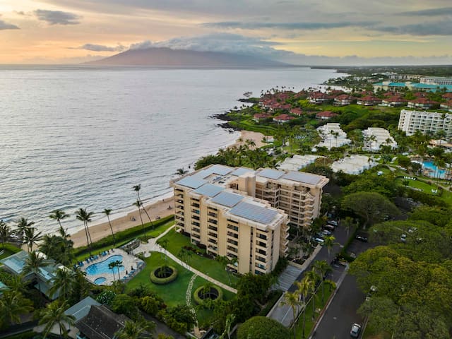 Ocean Views | Polo Beach Club | Groundfloor Condo