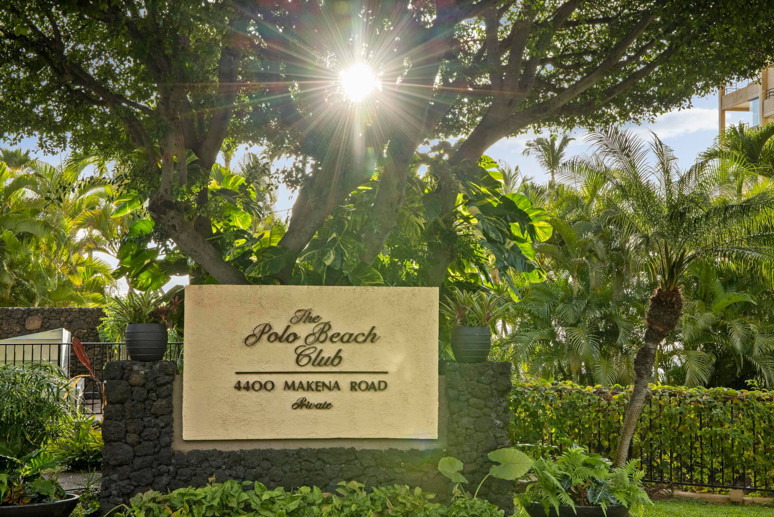 Ocean Views | Polo Beach Club | Groundfloor Condo - Image 10