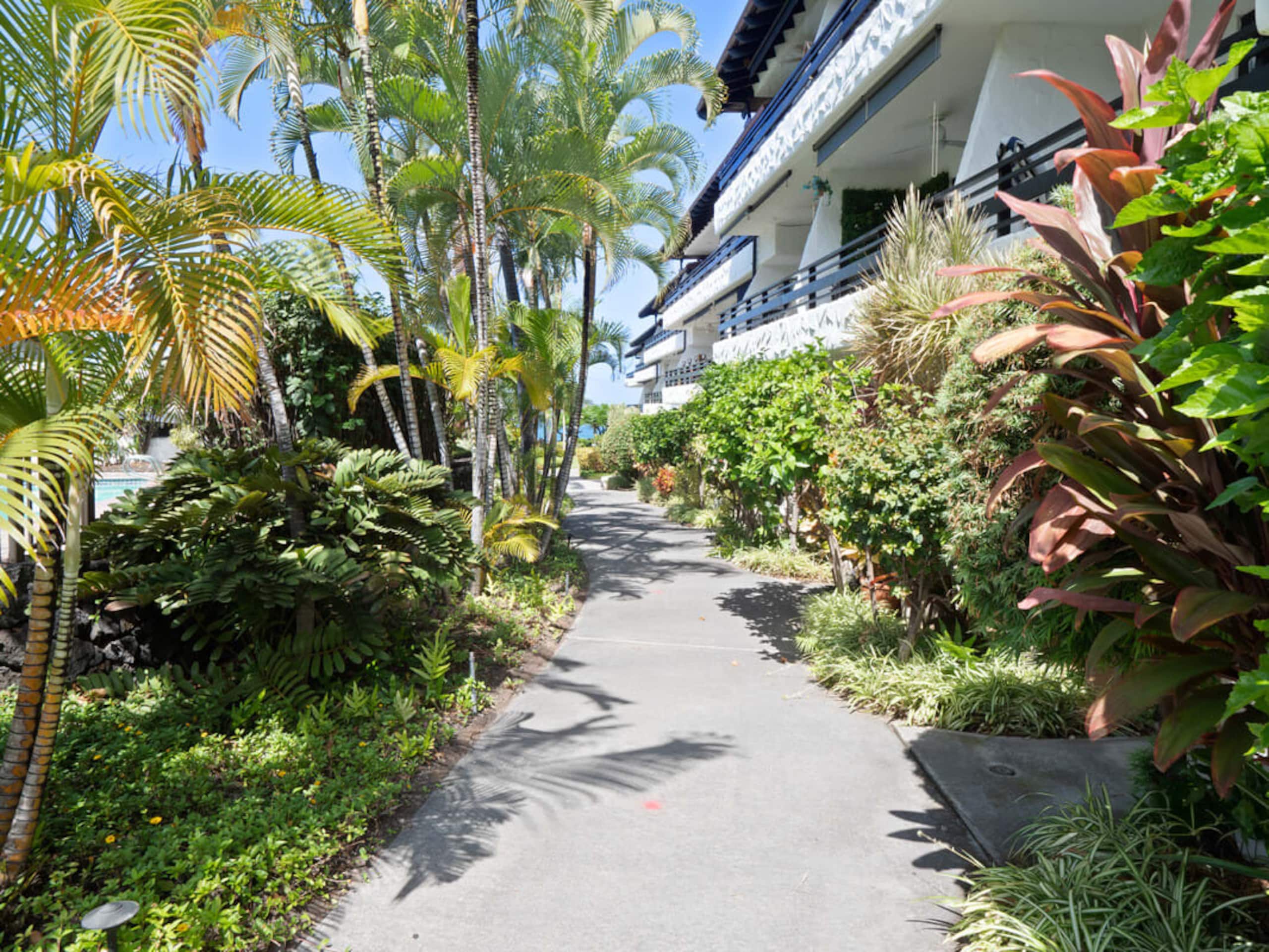 Condo in Kailua-Kona · ★4.83 · 1 bedroom · 2 beds · 1 bath - Image 20
