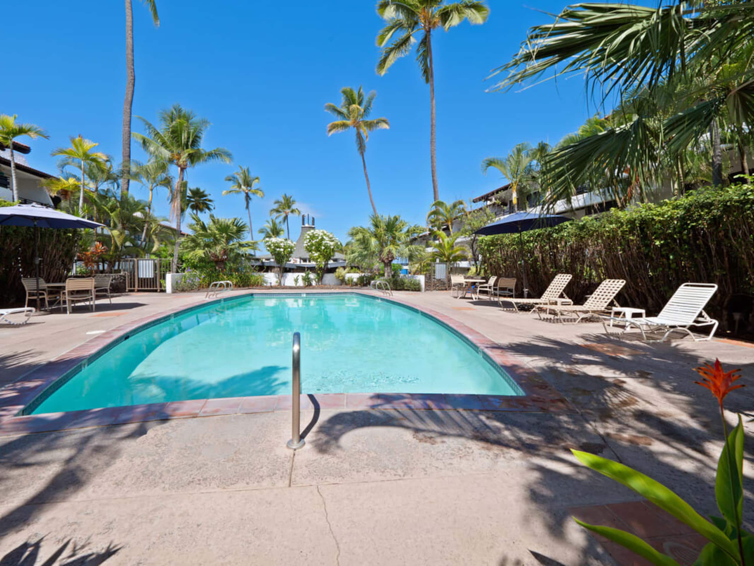 Condo in Kailua-Kona · ★4.83 · 1 bedroom · 2 beds · 1 bath - Image 23