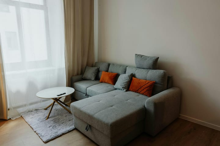 Მისაღებ ოთახში მყუდრო გასაშლელი დივანი განტვირთვისთვის გიწვევთ.