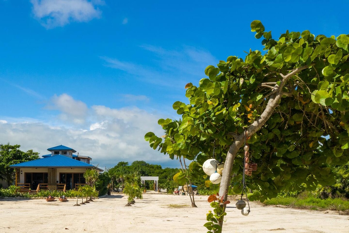 A serene beachfront property is viewed from a distance, complemented by a clear blue sky. Lush greenery frames the scene, with a palm tree partially hanging over a sandy area. The estate features two structures, showcasing a bright blue rooftop and an inviting outdoor space.
