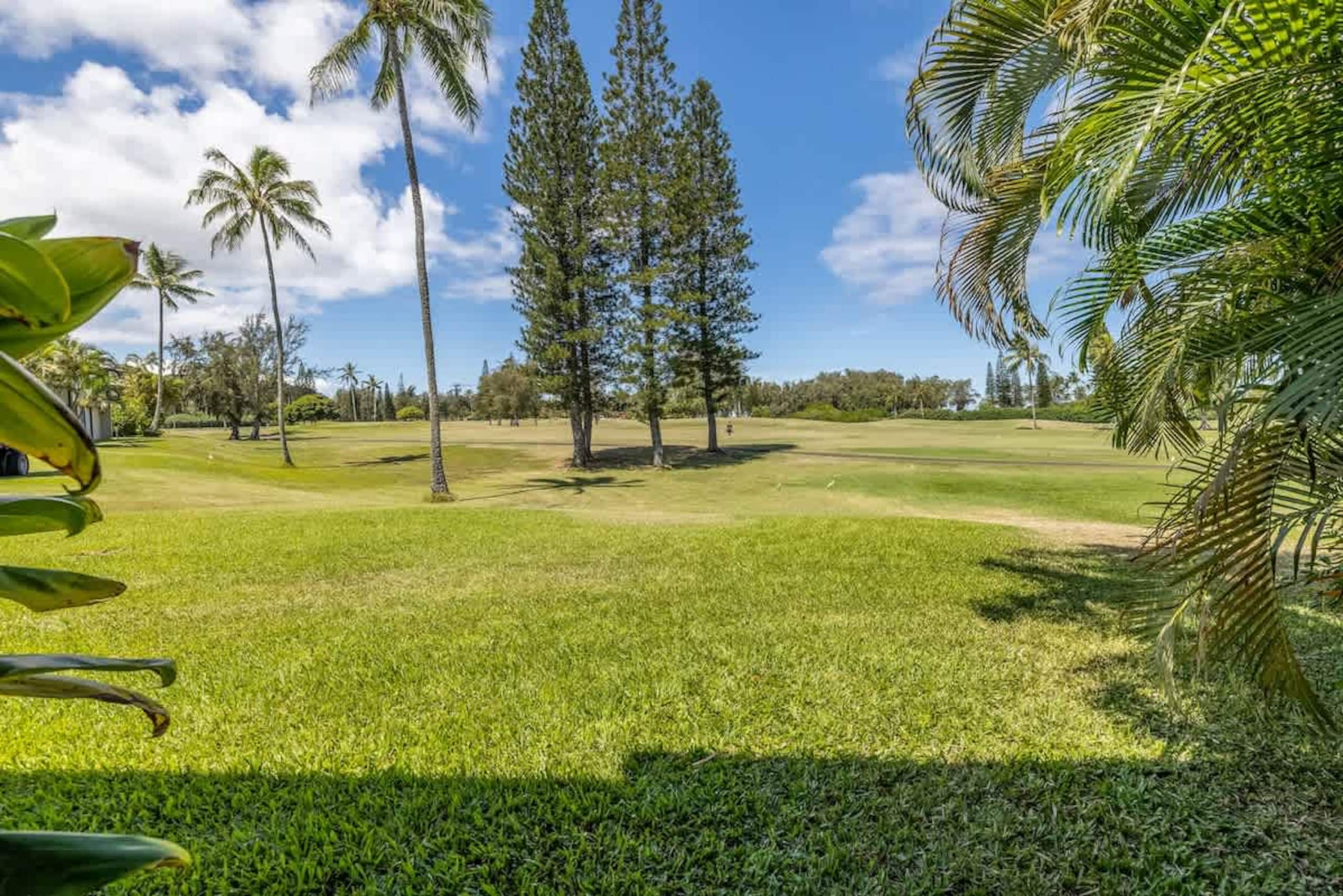 Home in Kahuku · ★4.99 · 4 bedrooms · 7 beds · 3 private baths - Image 36