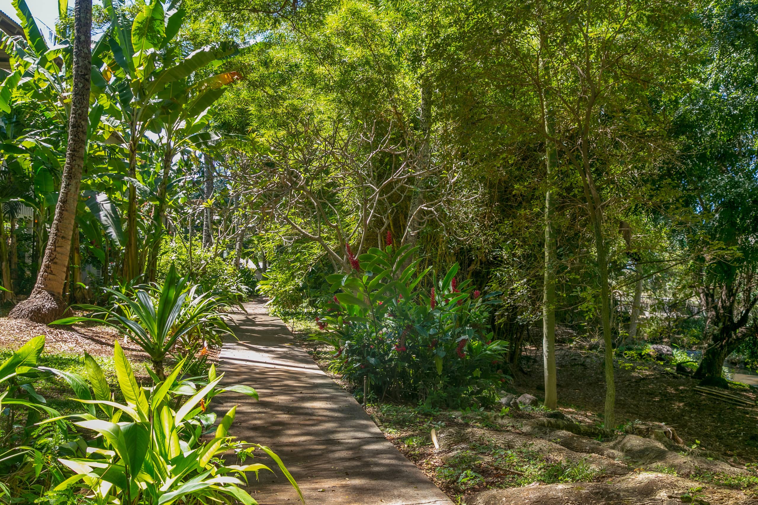 Waikomo Stream Villas 103 – Ground Floor, Garden V - Photo 24