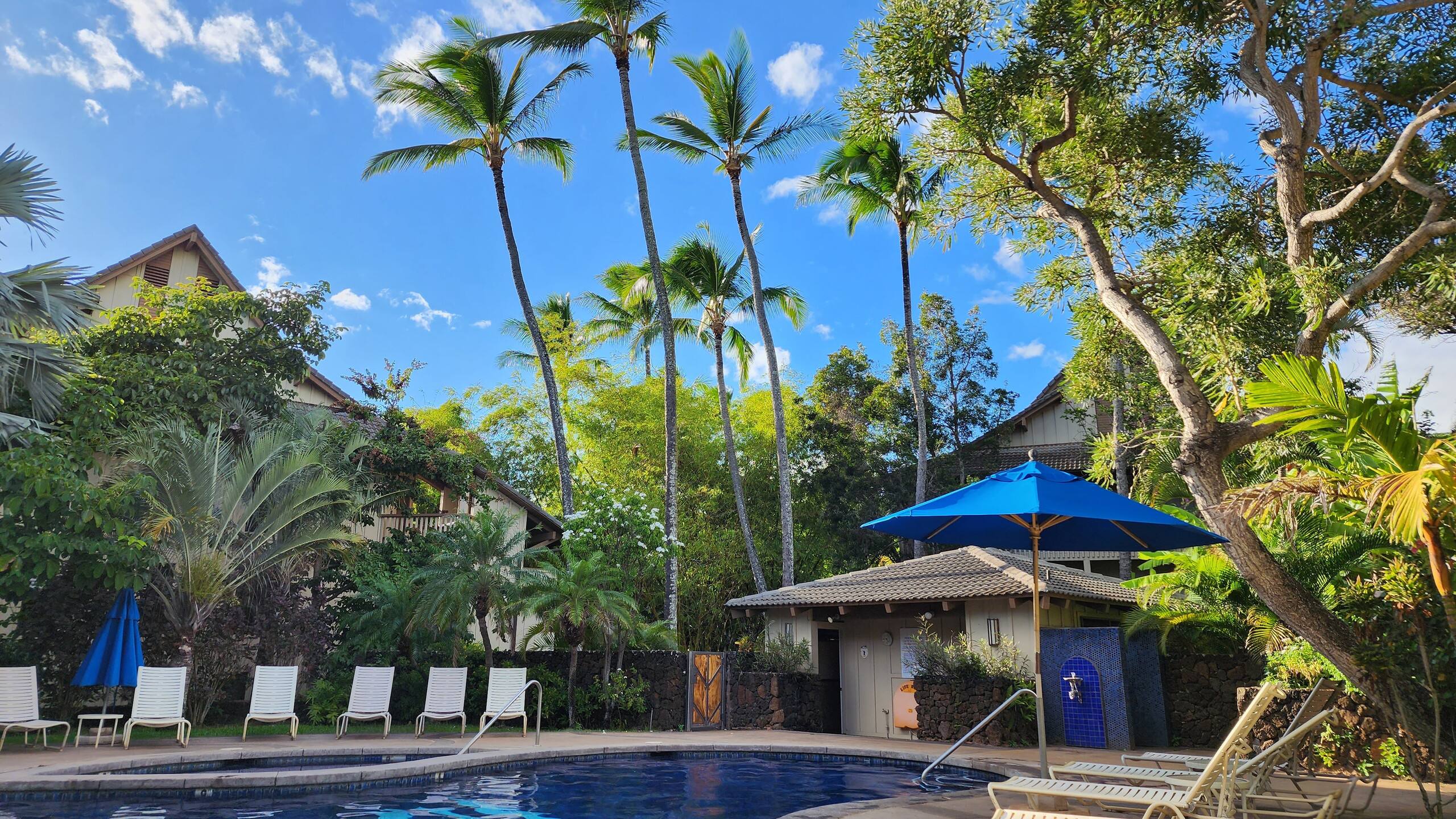 Waikomo Stream Villas 103 – Ground Floor, Garden V - Photo 29