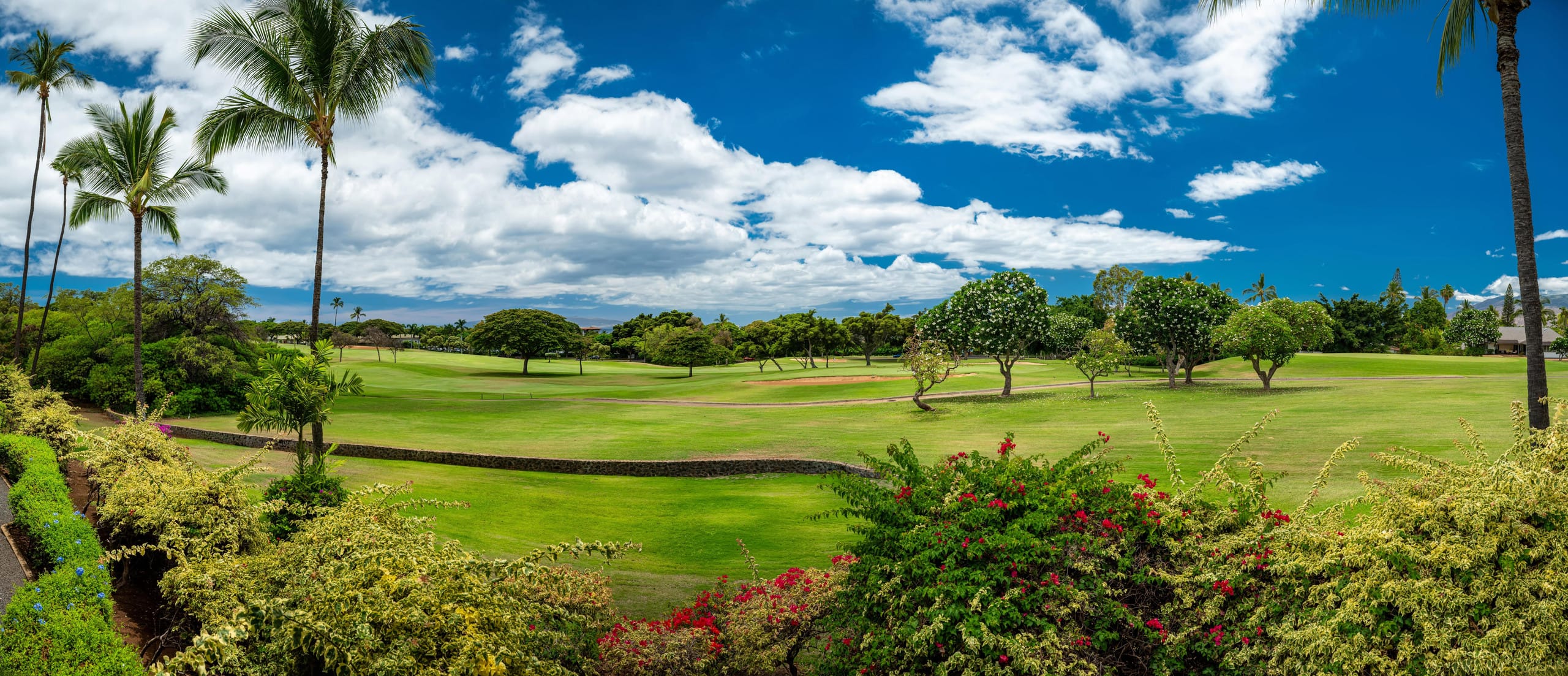 Condo in Wailea · ★4.88 · 3 bedrooms · 3 beds · 2 baths - Image 32