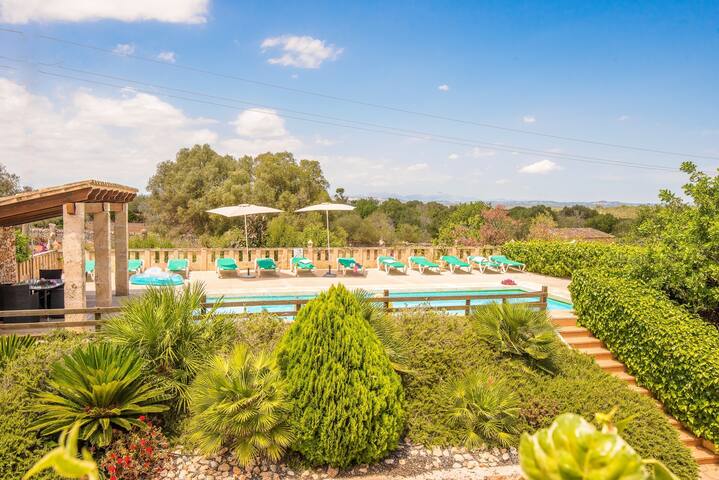 Son Rengo gallery image 2