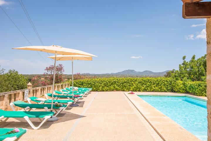 Son Rengo gallery image 3