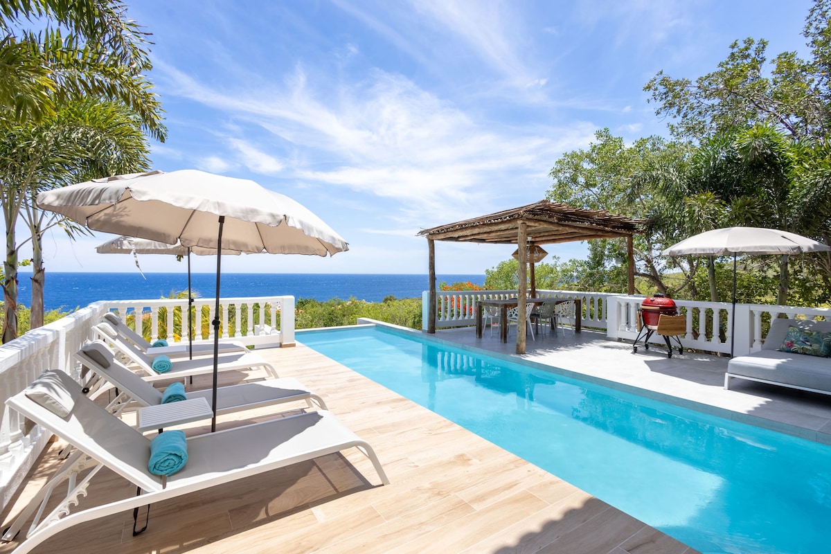 A private pool area is highlighted by two sun loungers with rolled towels and umbrellas offering shade. A wooden deck features a dining table and a grill, while the view of the Caribbean Sea and lush greenery creates a serene ambiance.