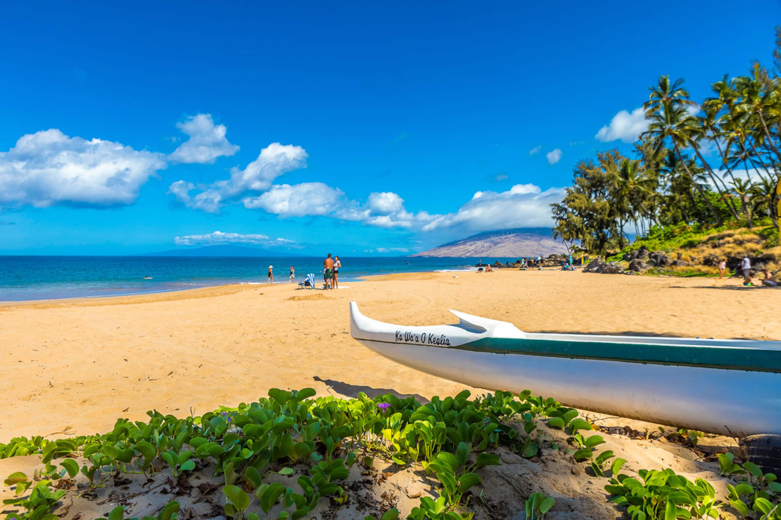 Condo in Kihei · ★4.65 · 2 bedrooms · 2 beds · 2 shared baths - Image 42