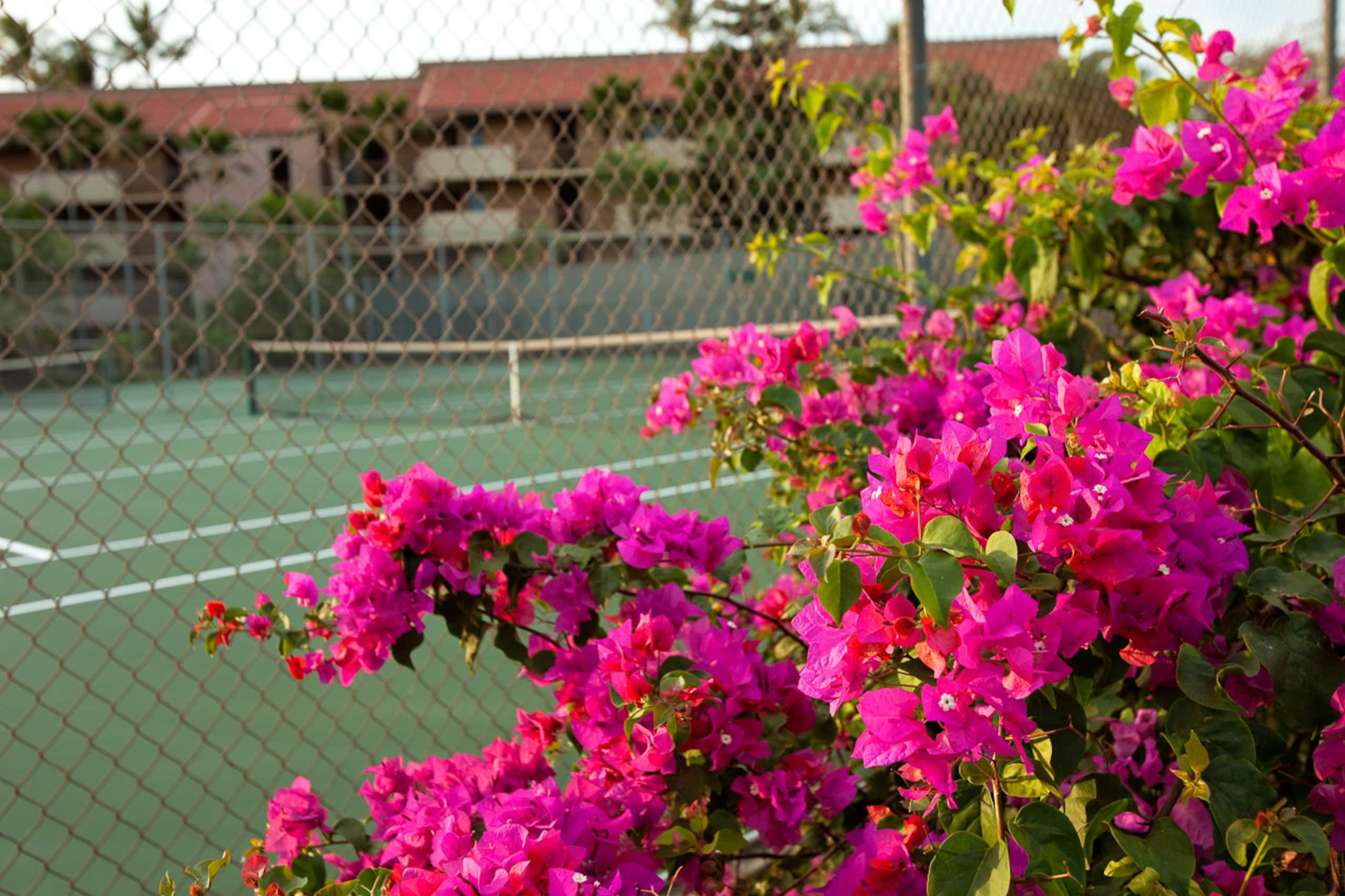 Condo in Kihei · ★4.65 · 2 bedrooms · 2 beds · 2 shared baths - Image 37