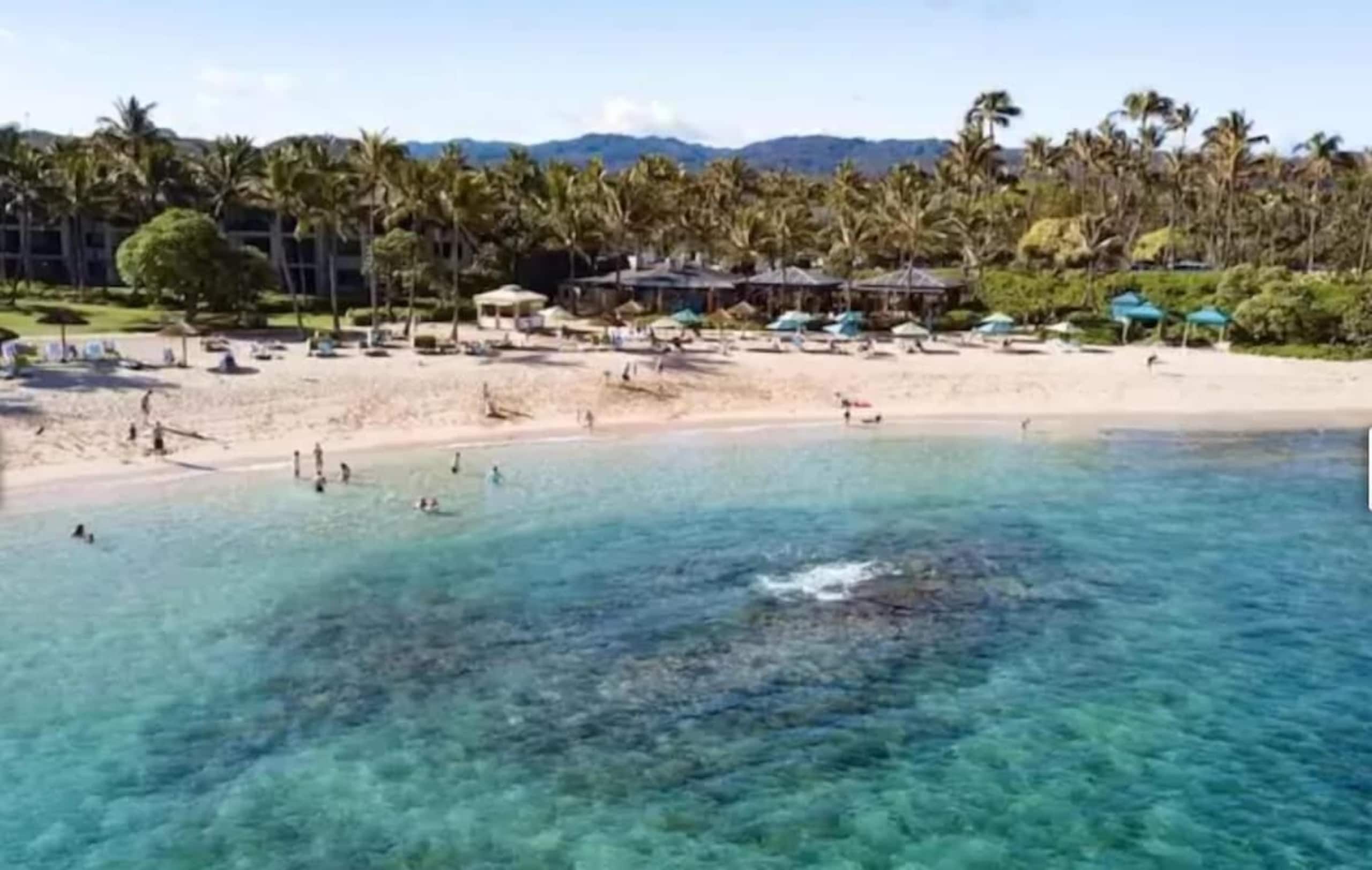 Condo in Kahuku · ★4.72 · 1 bedroom · 1 bed · 1 private bath - Image 21