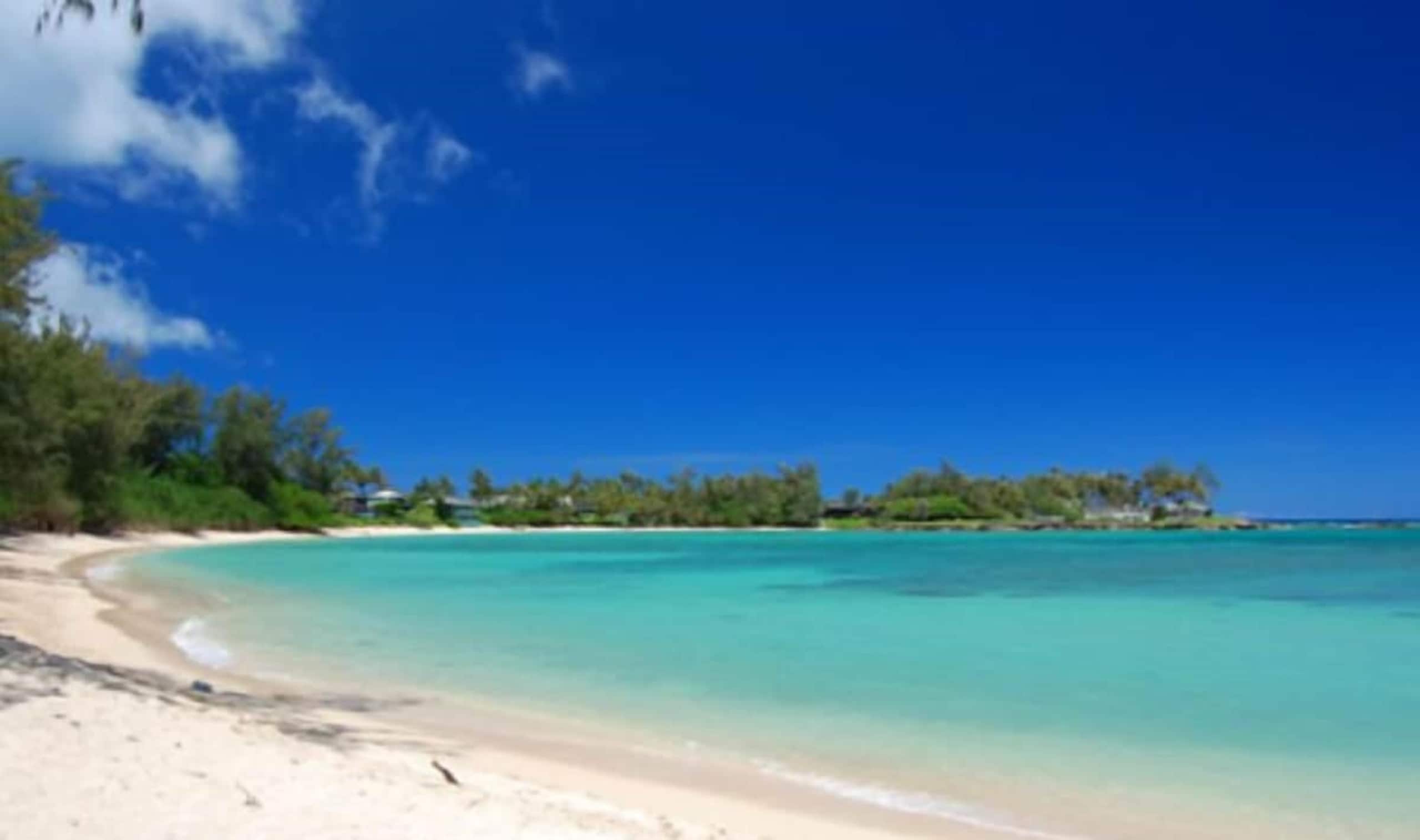 Condo in Kahuku · ★4.72 · 1 bedroom · 1 bed · 1 private bath - Image 16