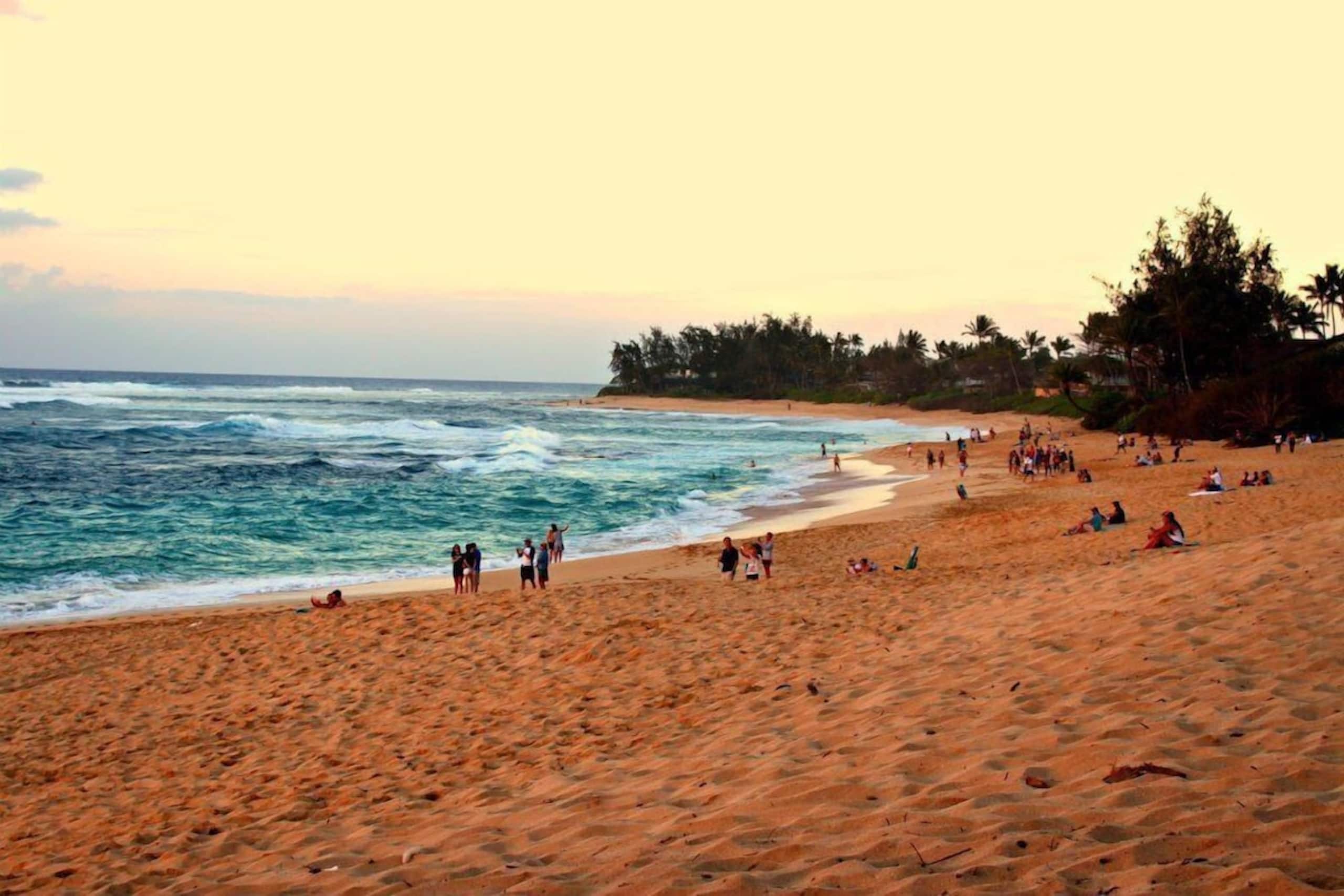 Condo in Kahuku · ★4.72 · 1 bedroom · 1 bed · 1 private bath - Image 22