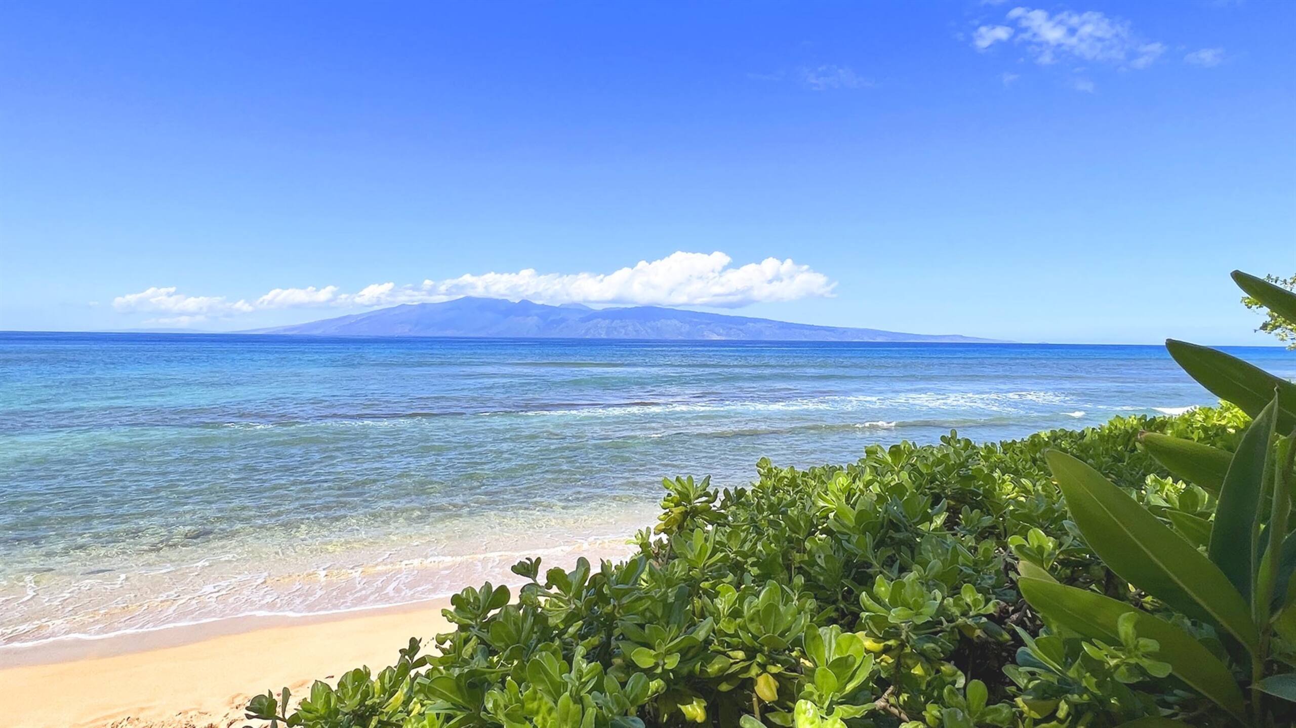 Kaanapali Shores 804 ~ Oceanfront Views 2 Bedroom - Image 32