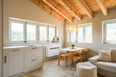 L'àtic Del Portalet- Views to the Besalú bridge