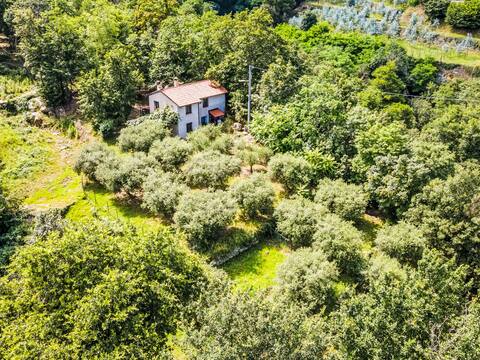 The River House by Interhome