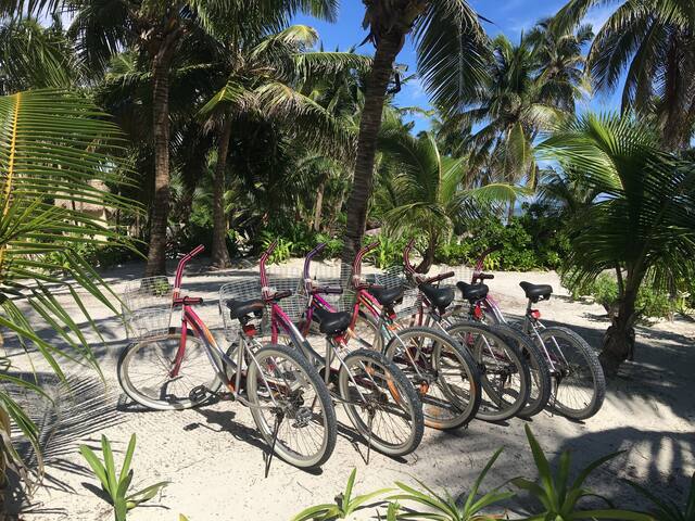 Stunning Caribbean Views. Beach, Pool, Kayaks. gallery image 3