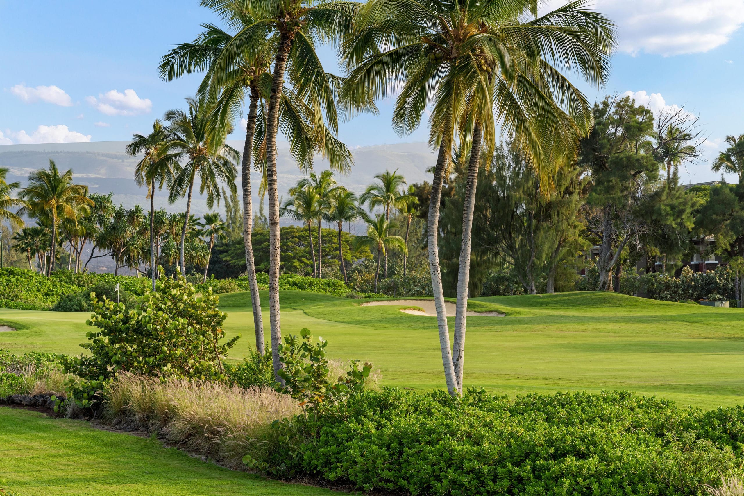 Hilton Waikoloa Pass thru 2026 1102 Waikoloa - Photo 56