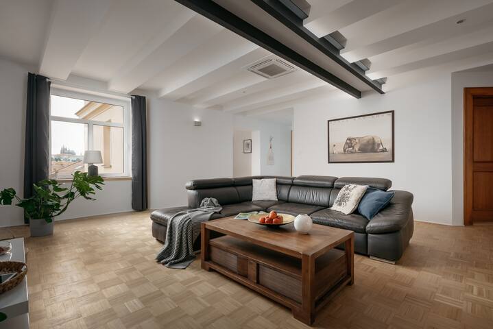 DOT 3 bdr Apartment with Tyn Cathedral View & A/C