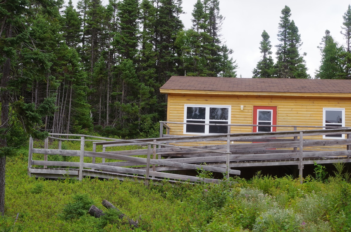 A cabin constructed of light wood is surrounded by dense greenery. A broad wooden ramp leads to the entrance, allowing for easy access. Large windows provide natural light, and the vibrant red door creates an inviting focal point amidst the natural setting.