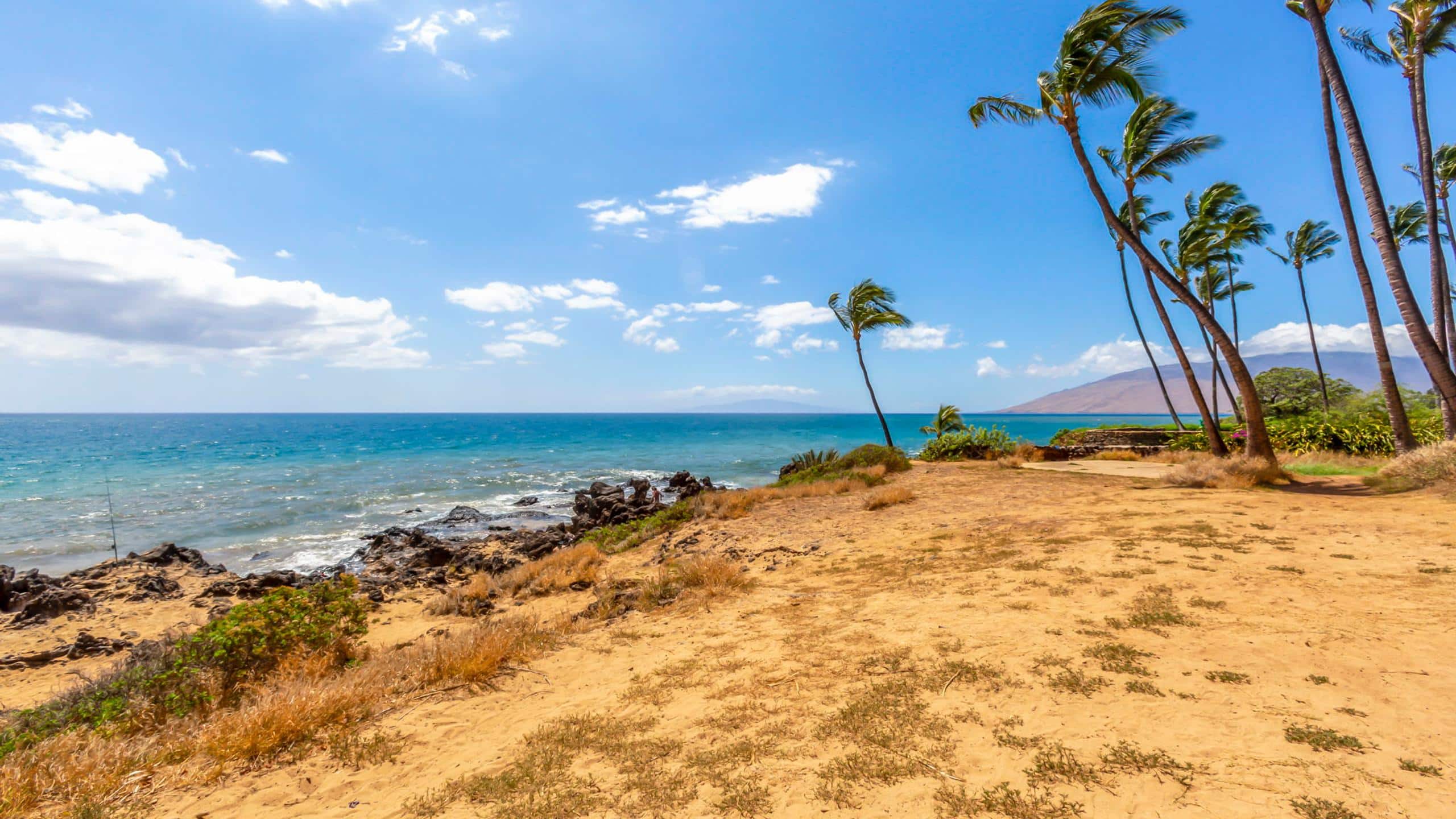 Condo in Kihei · ★4.84 · 1 bedroom · 2 beds · 1 bath - Image 34