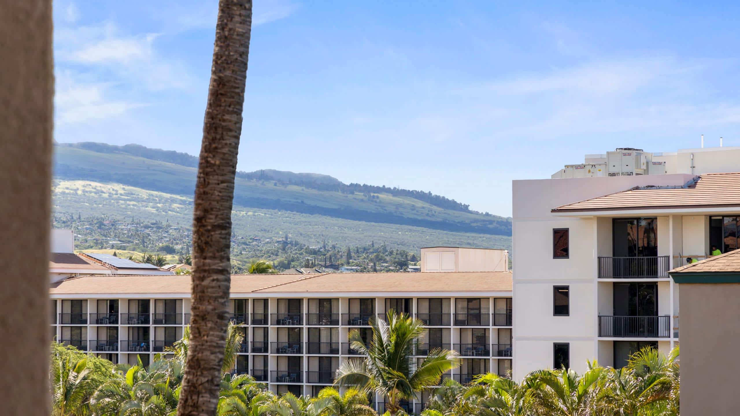 Condo in Kihei · ★4.84 · 1 bedroom · 2 beds · 1 bath - Image 47