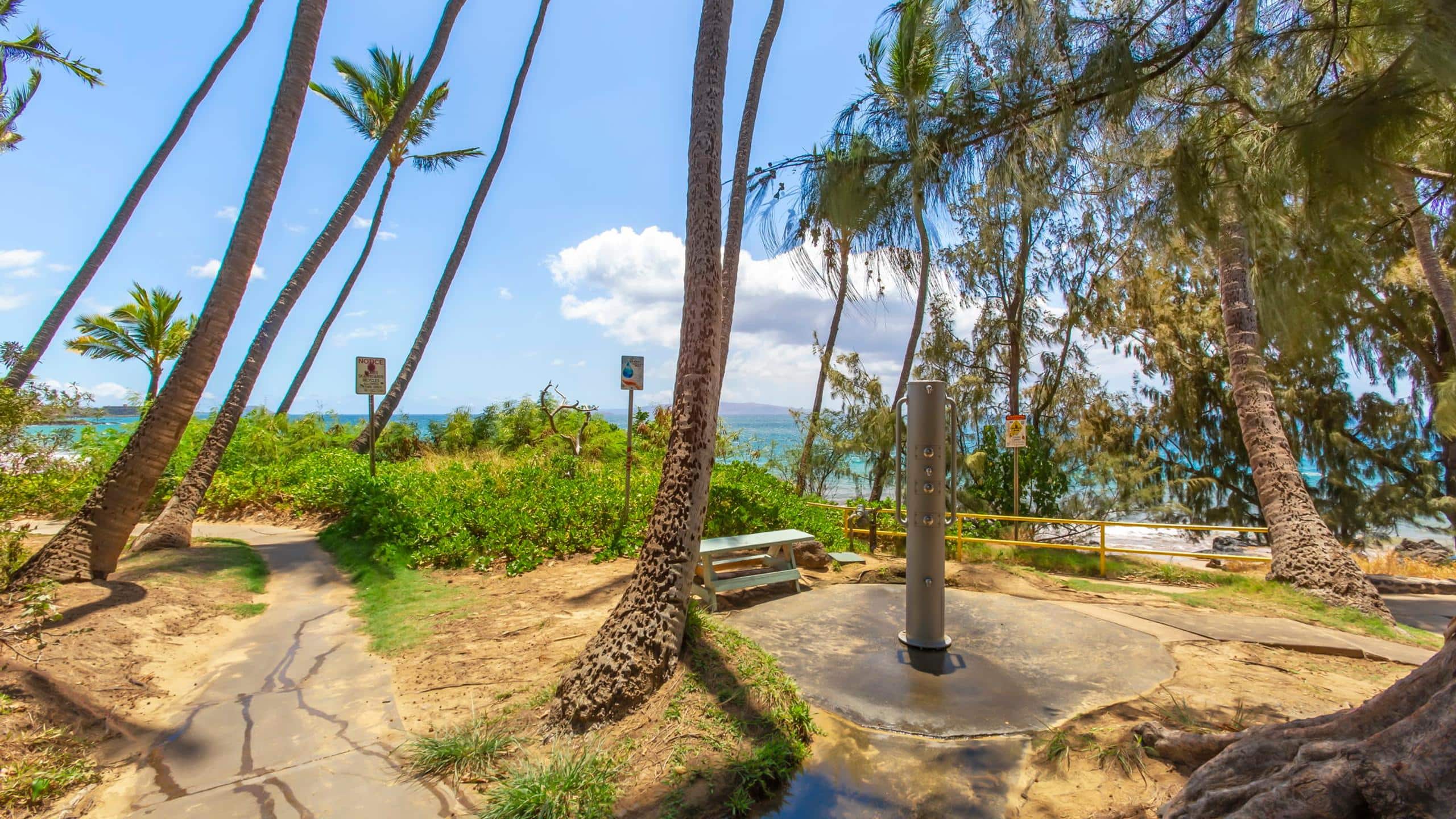 Condo in Kihei · ★4.84 · 1 bedroom · 2 beds · 1 bath - Image 33