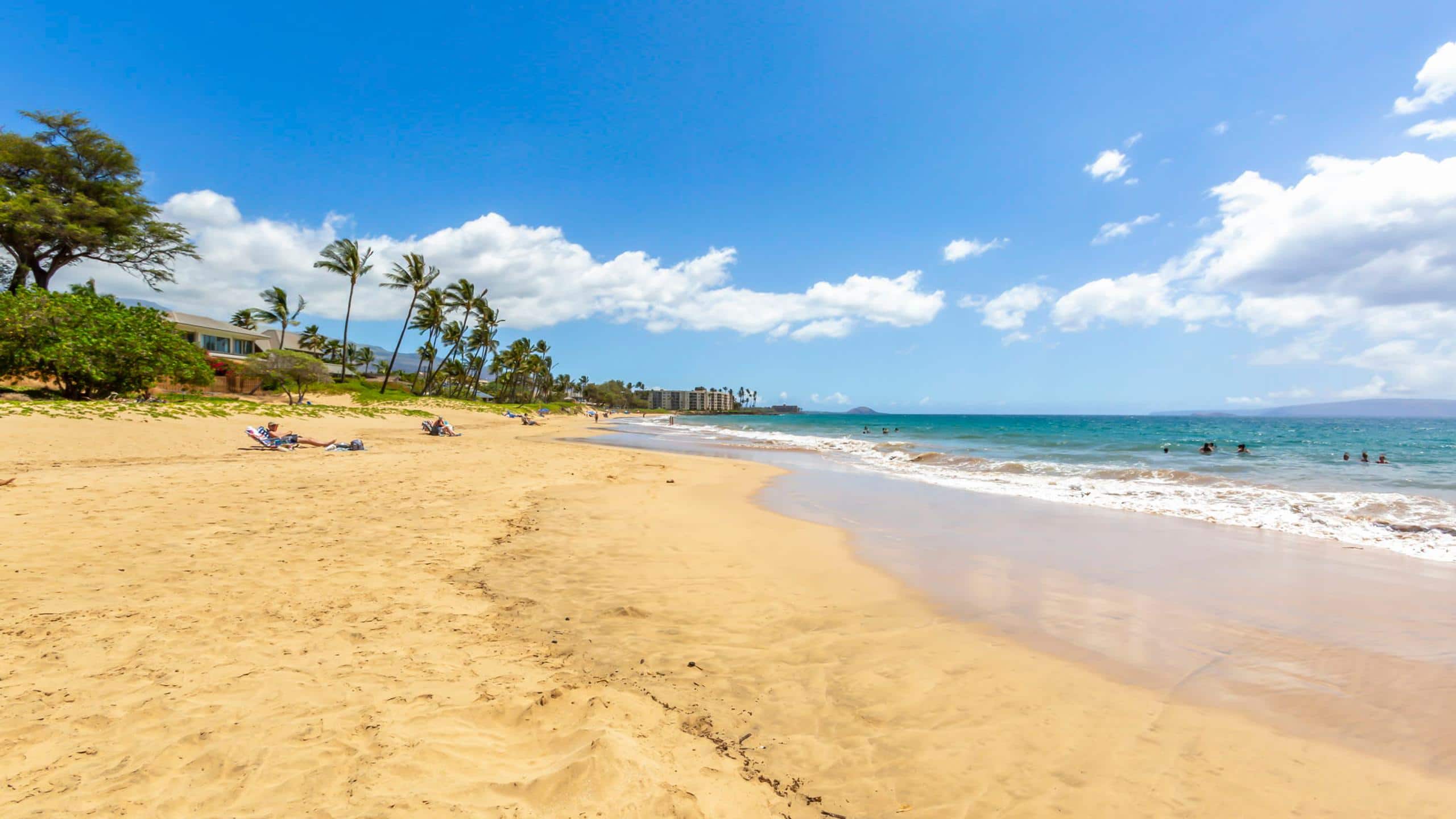 Condo in Kihei · ★4.84 · 1 bedroom · 2 beds · 1 bath - Image 30