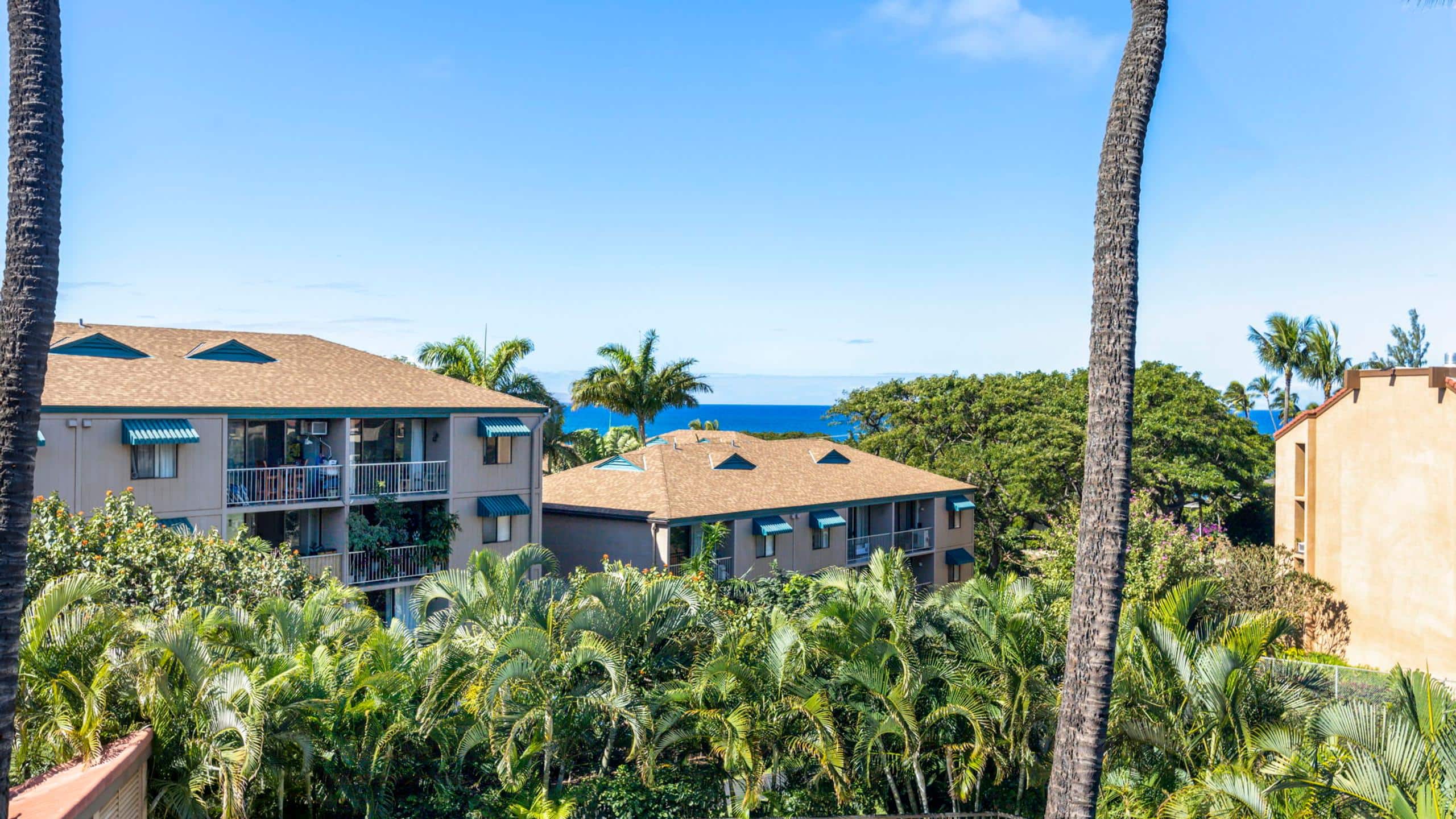 Condo in Kihei · ★4.84 · 1 bedroom · 2 beds · 1 bath - Image 29