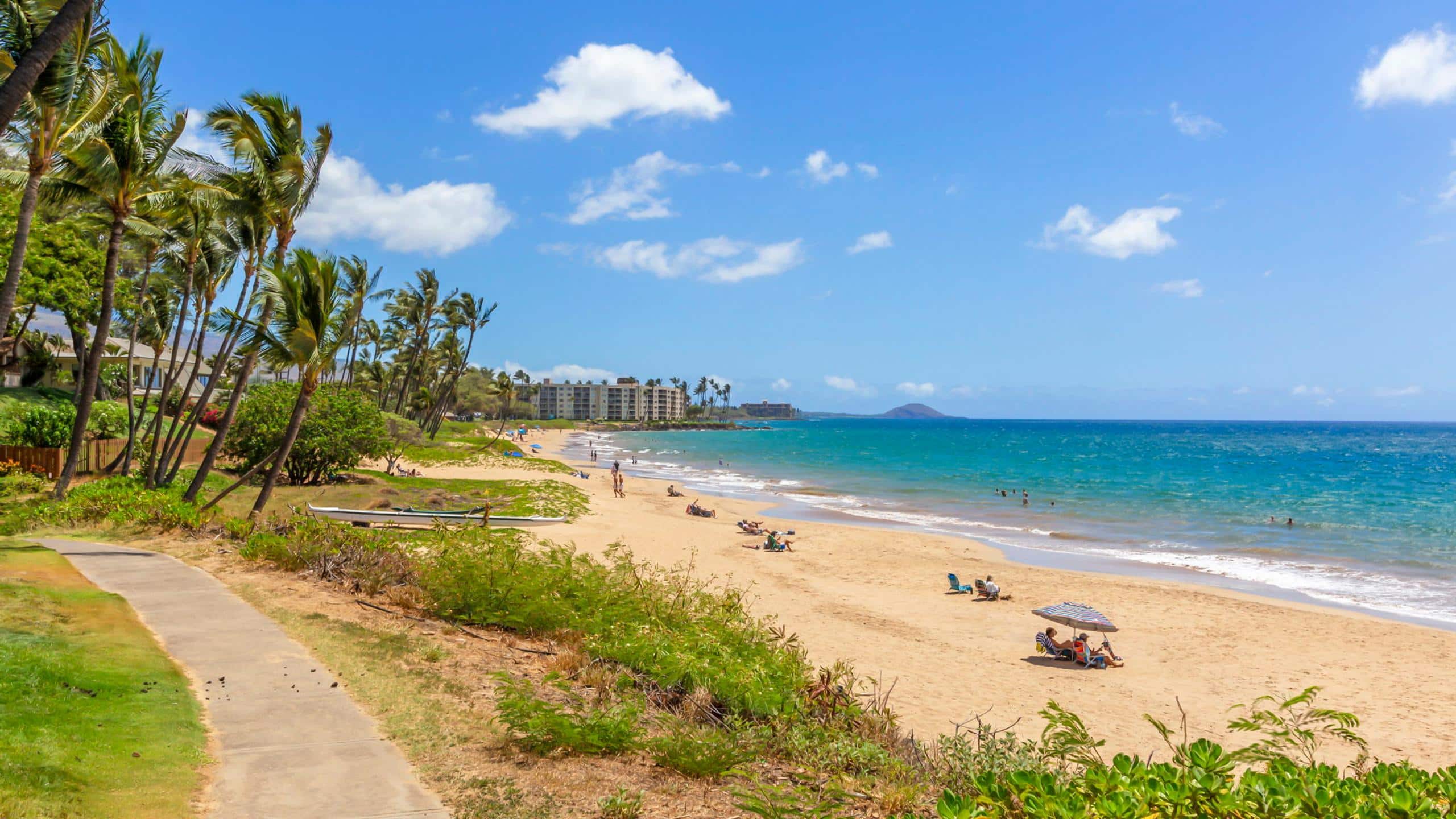 Condo in Kihei · ★4.84 · 1 bedroom · 2 beds · 1 bath - Image 31