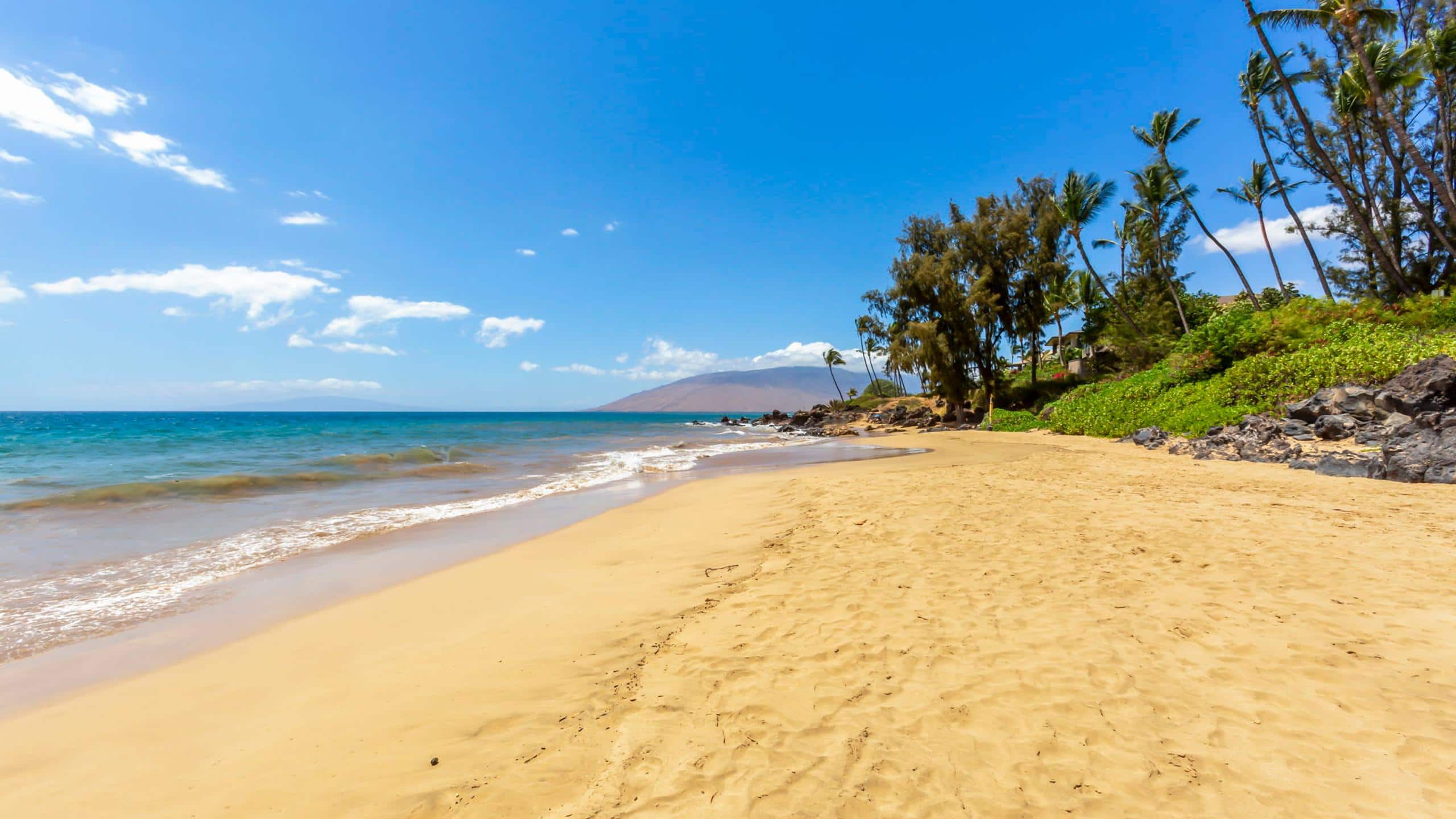 Condo in Kihei · ★4.84 · 1 bedroom · 2 beds · 1 bath - Image 48