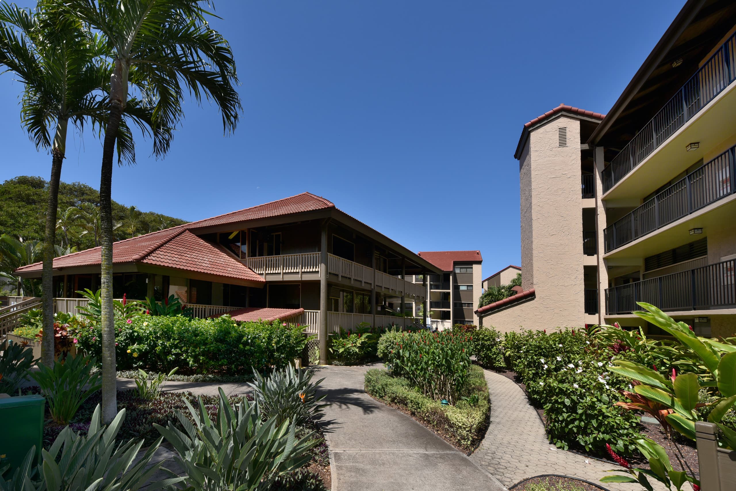 Condo in Lahaina · ★4.86 · 1 bedroom · 2 beds · 1 bath - Image 37