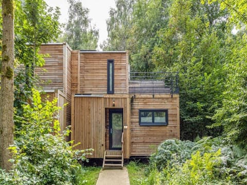 Tranquil Forest Retreat