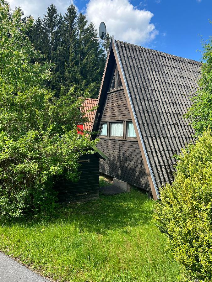 The triangular wooden exterior of a house is framed by lush greenery and well-maintained shrubs. A satellite dish is visible on the roof. The surrounding grass is vibrant and the sky features a few scattered clouds, indicating a sunny day.