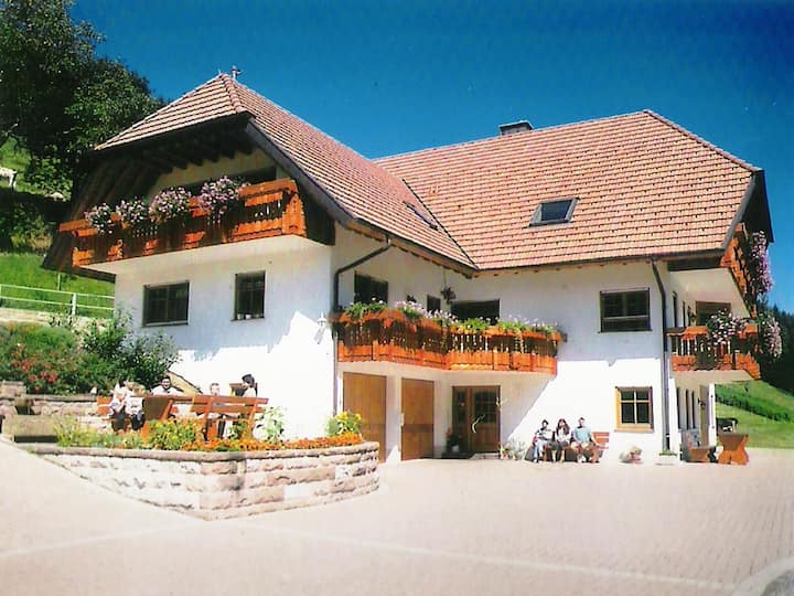 ÉVasion Dans Une Ferme à Hofstetten - Steinach
