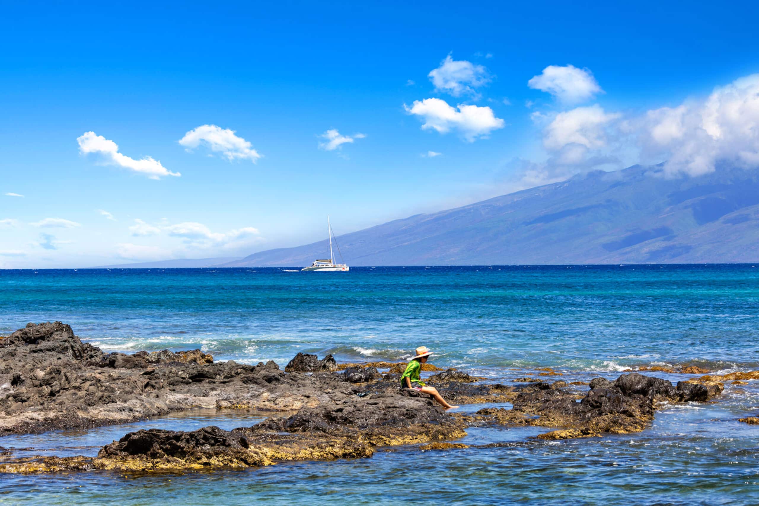 Condo in Lahaina · ★4.9 · Studio · 2 beds · 1 bath - Image 29