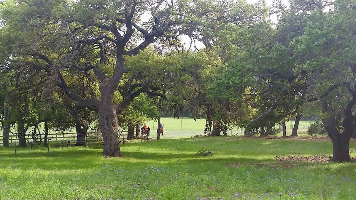 A peaceful landscape showcases lush green grass beneath large, mature oak trees. In the background, a section of a fence is visible along with two individuals on horseback, highlighting the natural beauty of the surroundings. The open field offers a serene, spacious view.