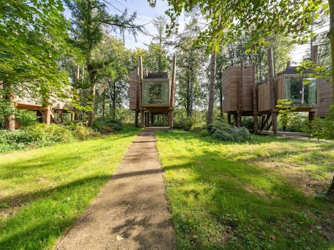 3-Level Home with Rooftop