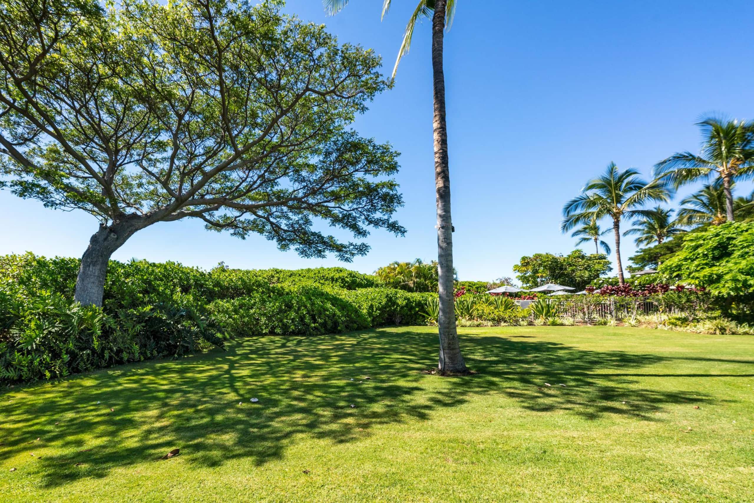 Waikoloa Golf Discounts A1 Waikoloa Beach Villas - Photo 37