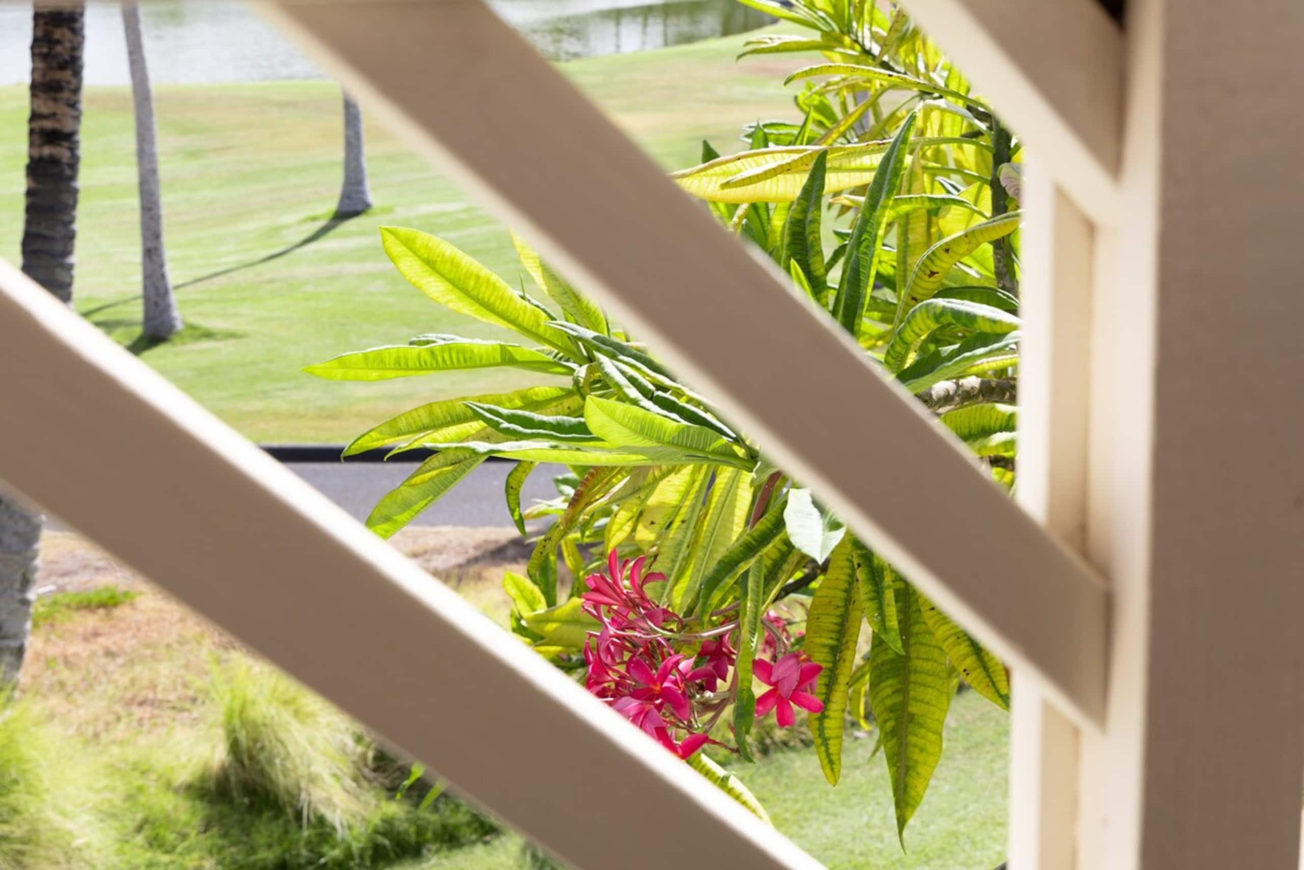 Townhouse in Waikoloa Village · ★4.98 · 3 bedrooms · 7 beds · 3 baths - Photo 128