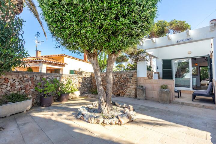 Kassiopea gallery image 5