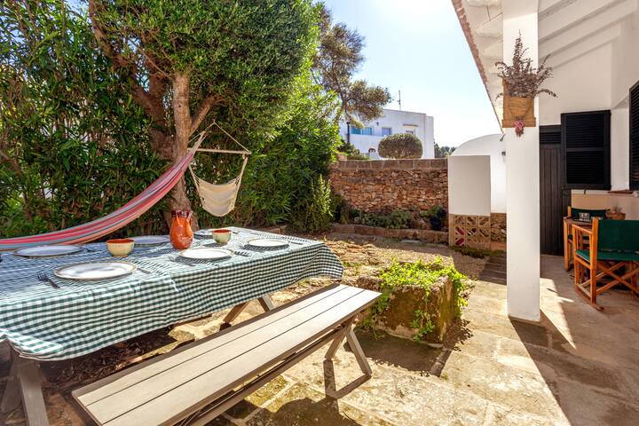 Kassiopea gallery image 2