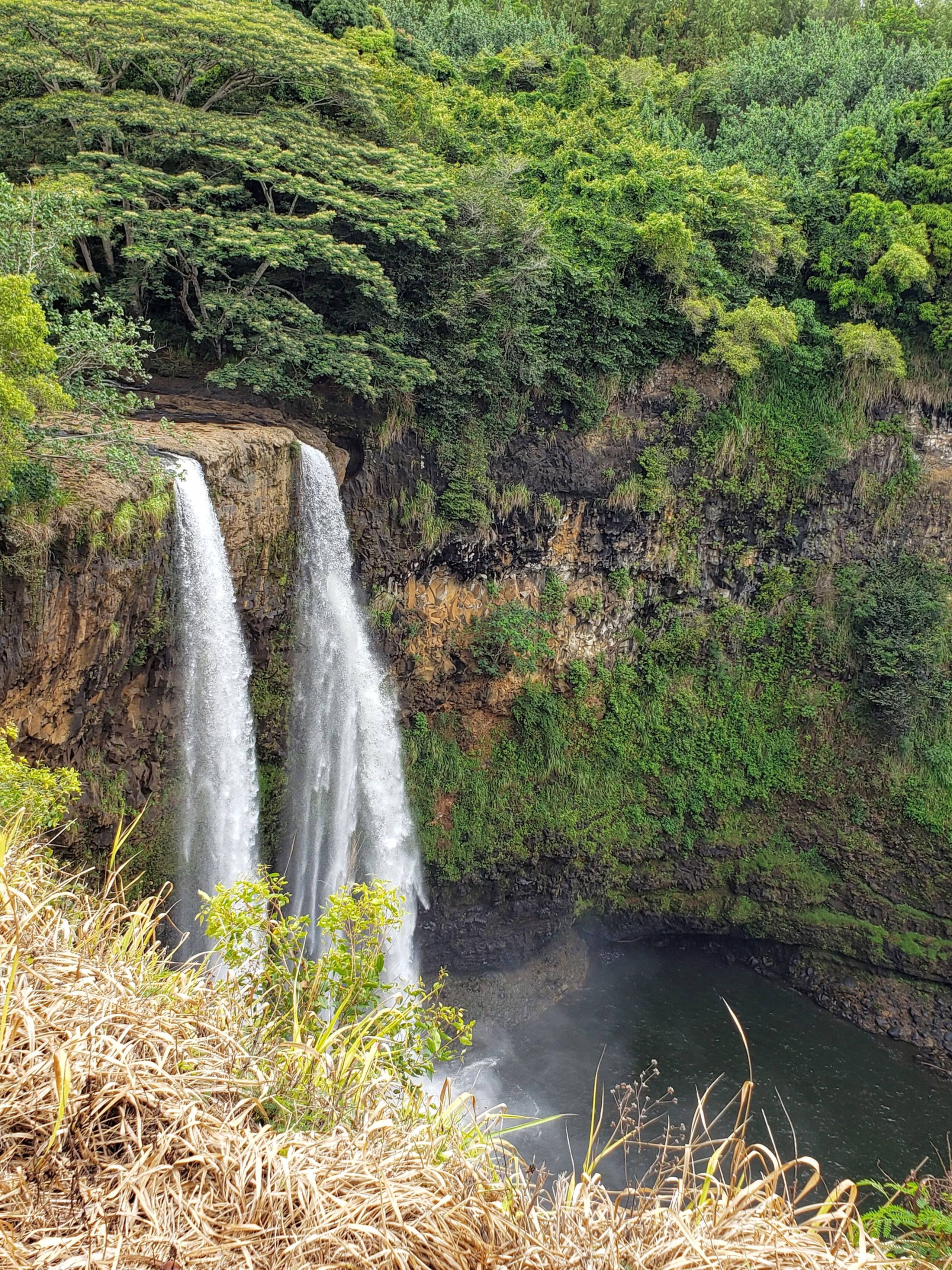 Condo in Koloa · ★4.6 · 1 bedroom · 1 bed · 1 bath - Photo 19